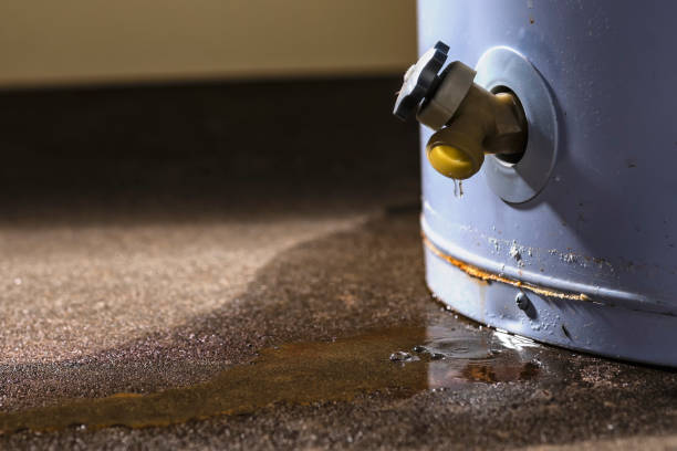 Best Water damage restoration specialists  in Oak Grove, MN