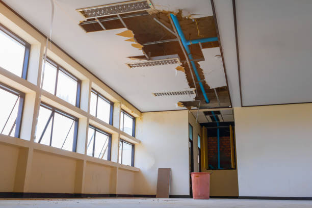 Best Fire Damage Restoration  in Oak Grove, MN