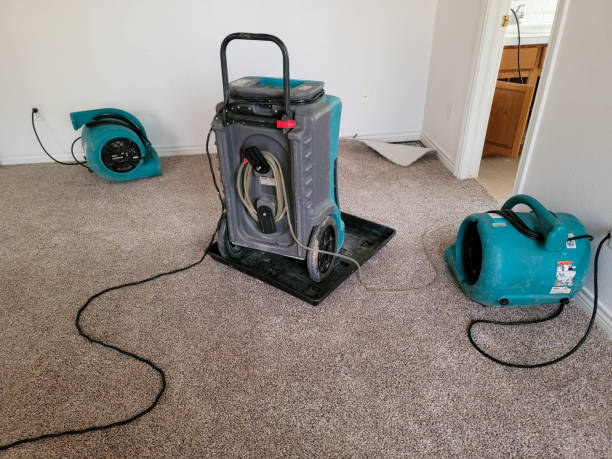 Best Water damage restoration near me  in Oak Grove, MN
