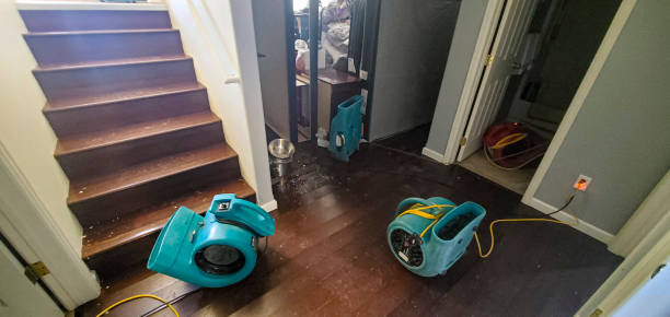 Best Water damage restoration cost  in Oak Grove, MN