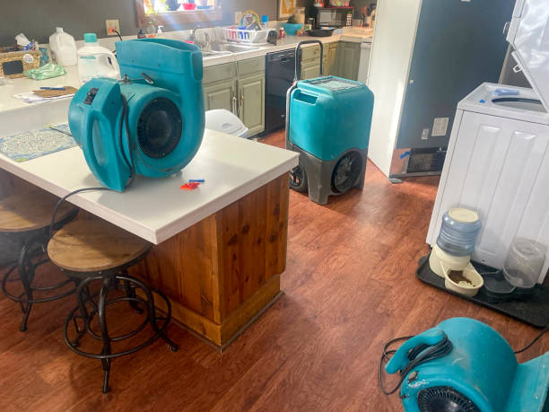 Best Water damage restoration services  in Oak Grove, MN