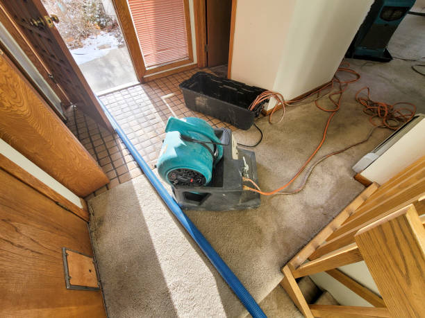 Best Water damage restoration near me  in Oak Grove, MN