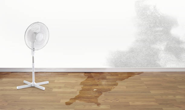 Best Sewage cleanup and water damage restoration  in Oak Grove, MN