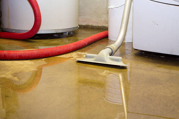Trusted MN Water damage restoration Experts