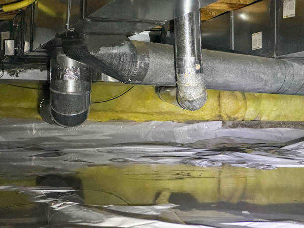 Best Emergency water damage restoration  in Oak Grove, MN
