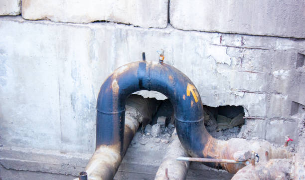 Best Flood restoration services  in Oak Grove, MN