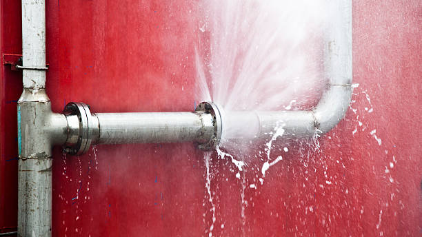 Best 24/7 water damage repair  in Oak Grove, MN
